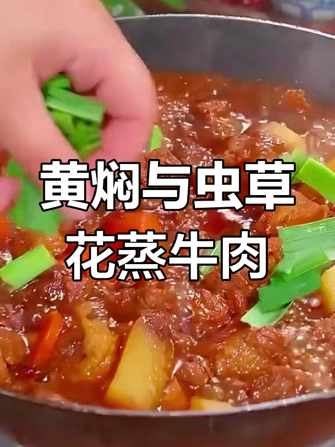 虫草花蒸牛肉,嫩滑又营养!黄焖牛肉做法大揭秘