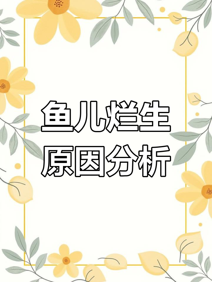 草鱼烂身病解析:血管虫症状与治疗