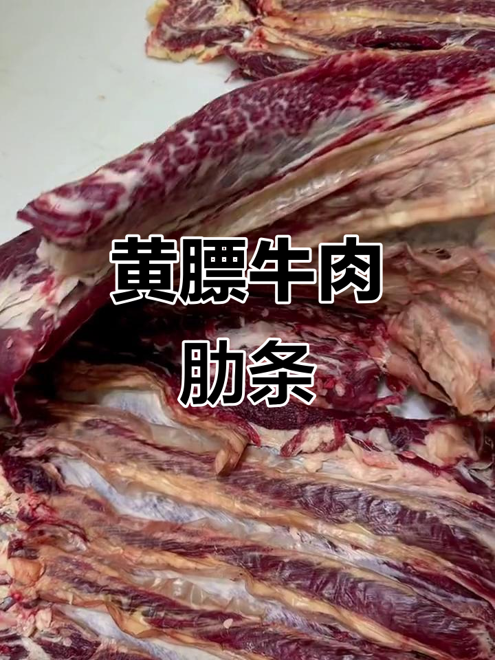 呼伦贝尔草饲黄膘牛肋条，清水炖出满满肉香
