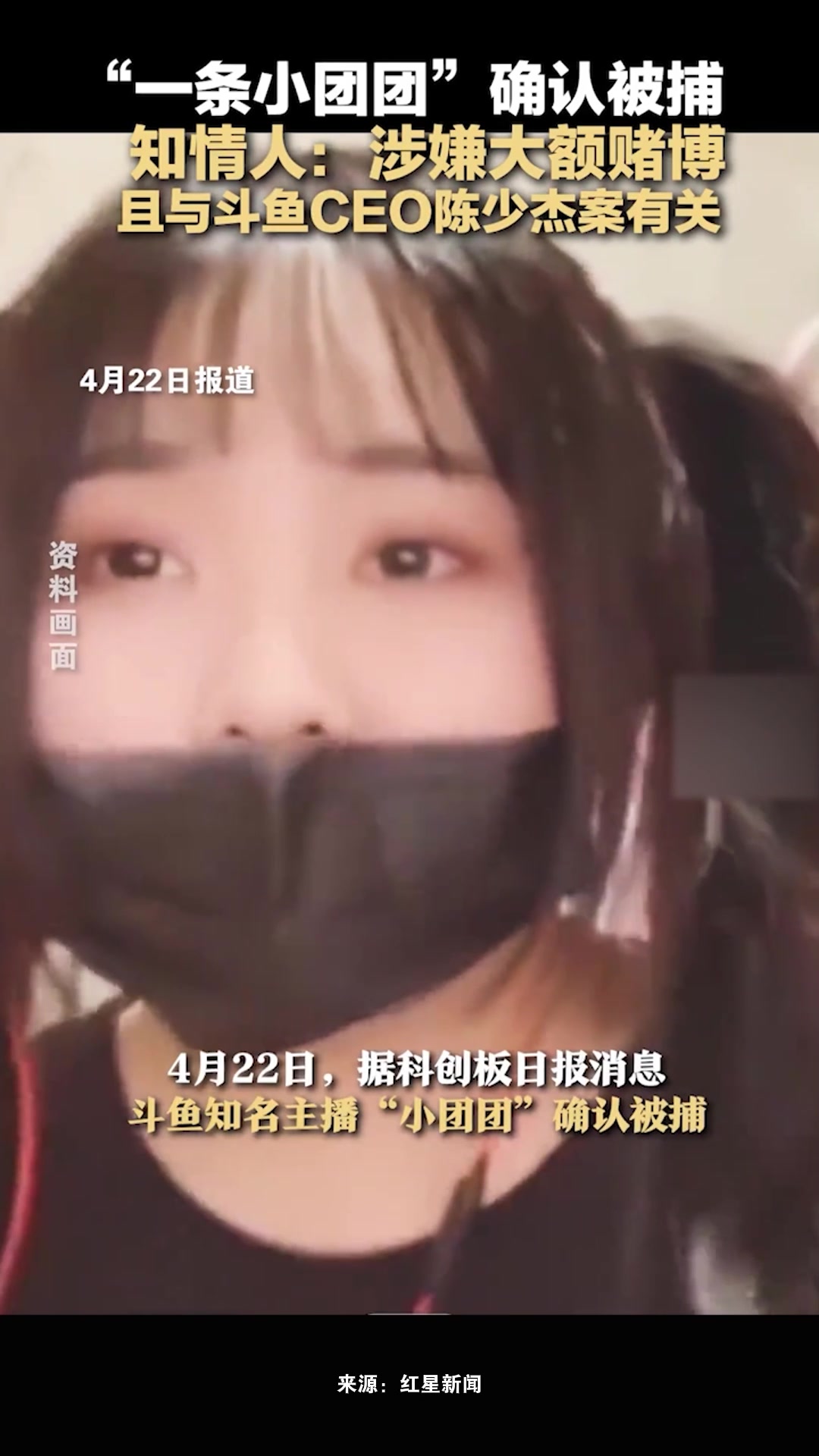 “一条小团团”确认被捕,知情人:涉嫌大额赌博,且与斗鱼CEO陈少杰案有关