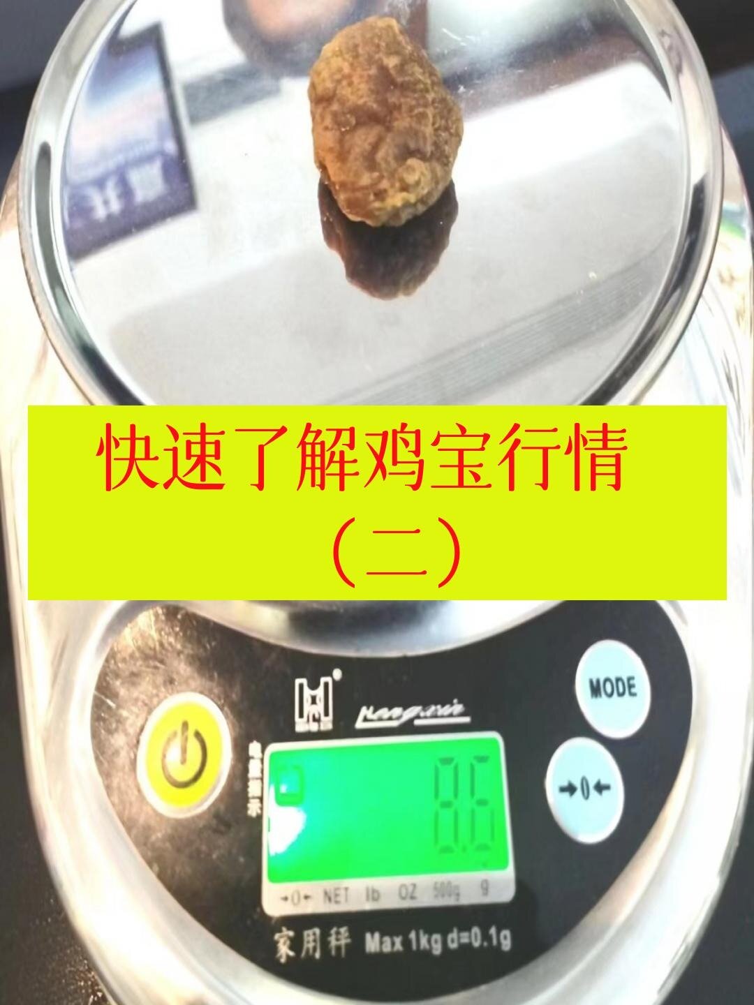 快速了解鸡宝行情 福建鉴定鸡