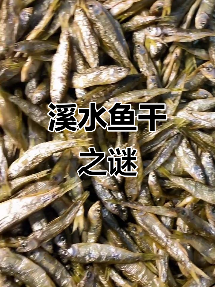 野生溪鱼干，碳烤香气扑鼻，晒干的反而腥味重