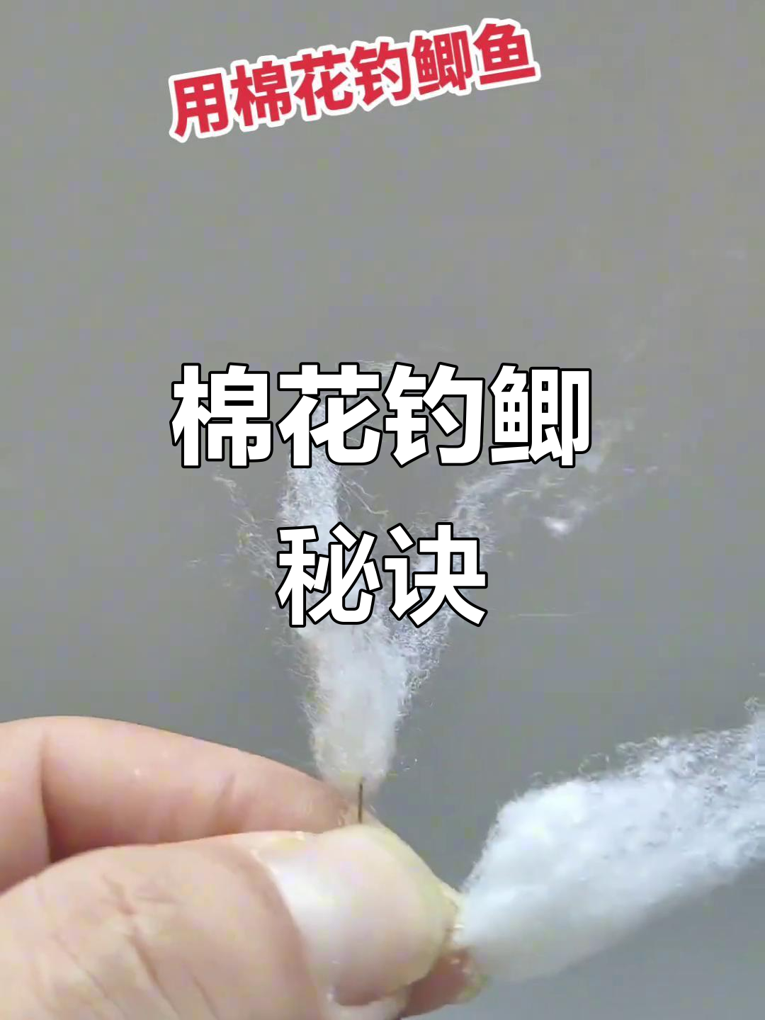 棉花钓鱼法，轻松捕获大板鲫，新手也能快速上手！