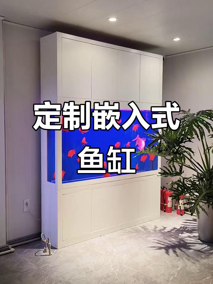 红禹水族,定制嵌入式鱼缸,尺寸220*45*120