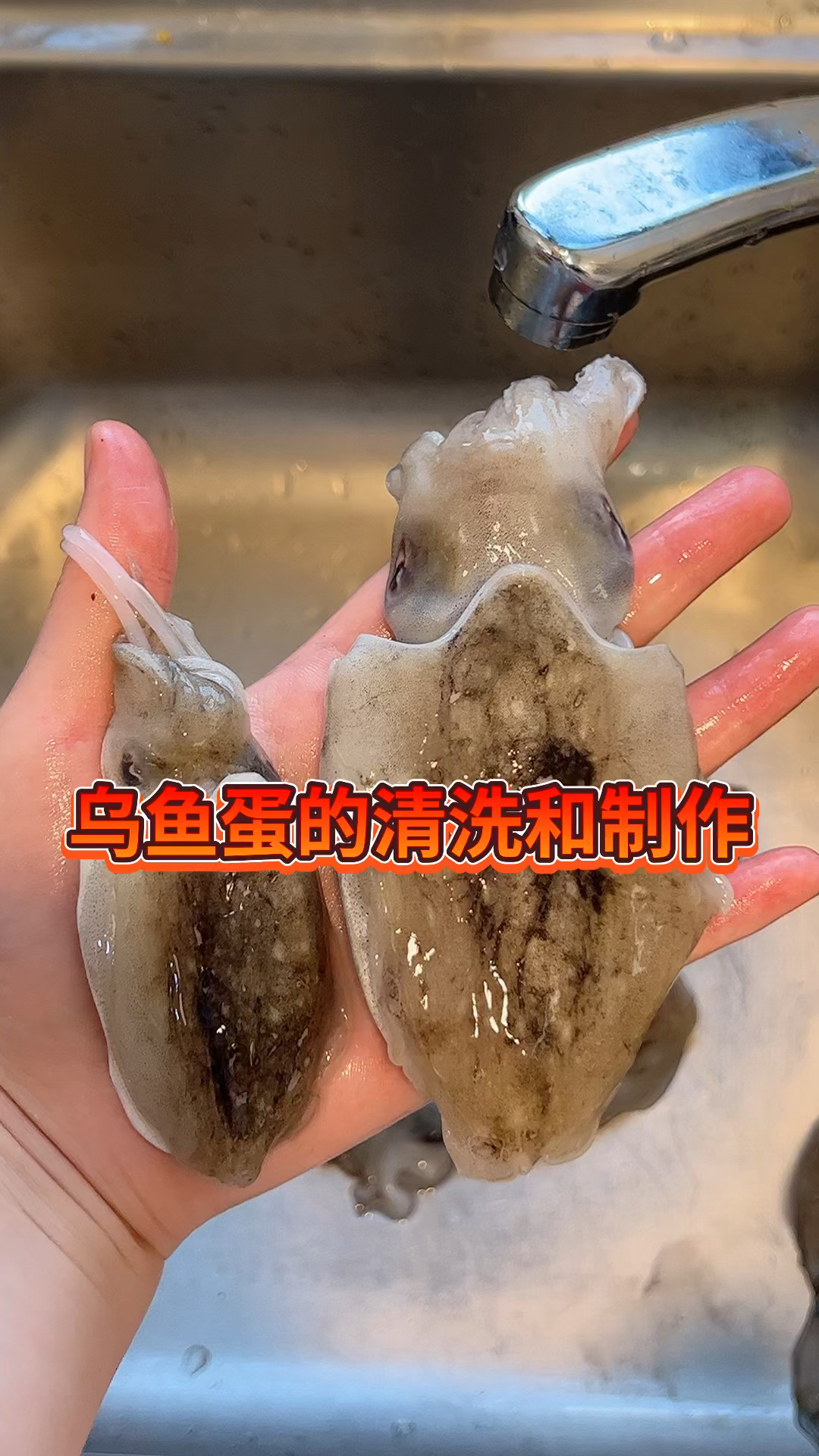 乌鱼蛋的清洗和制作,教你如何凉拌乌鱼蛋