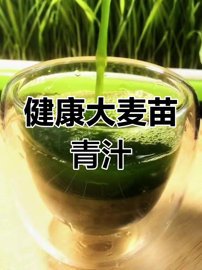 自制大麦苗青汁,营养又健康