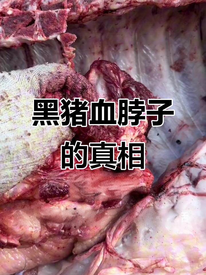 沈阳黑猪肉血脖子肉,淋巴去除更放心