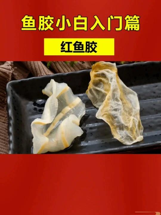 红鱼胶是什么鱼的胶?