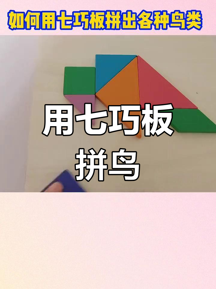 七巧板拼出各种鸟类,挑战你的想象力!