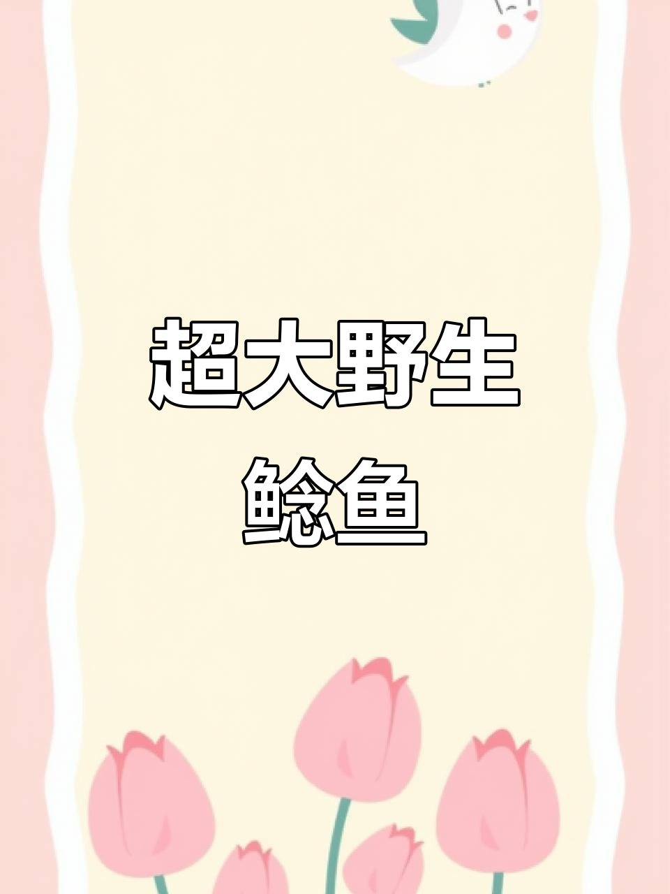 野生鲶鱼大揭秘,重量惊人!