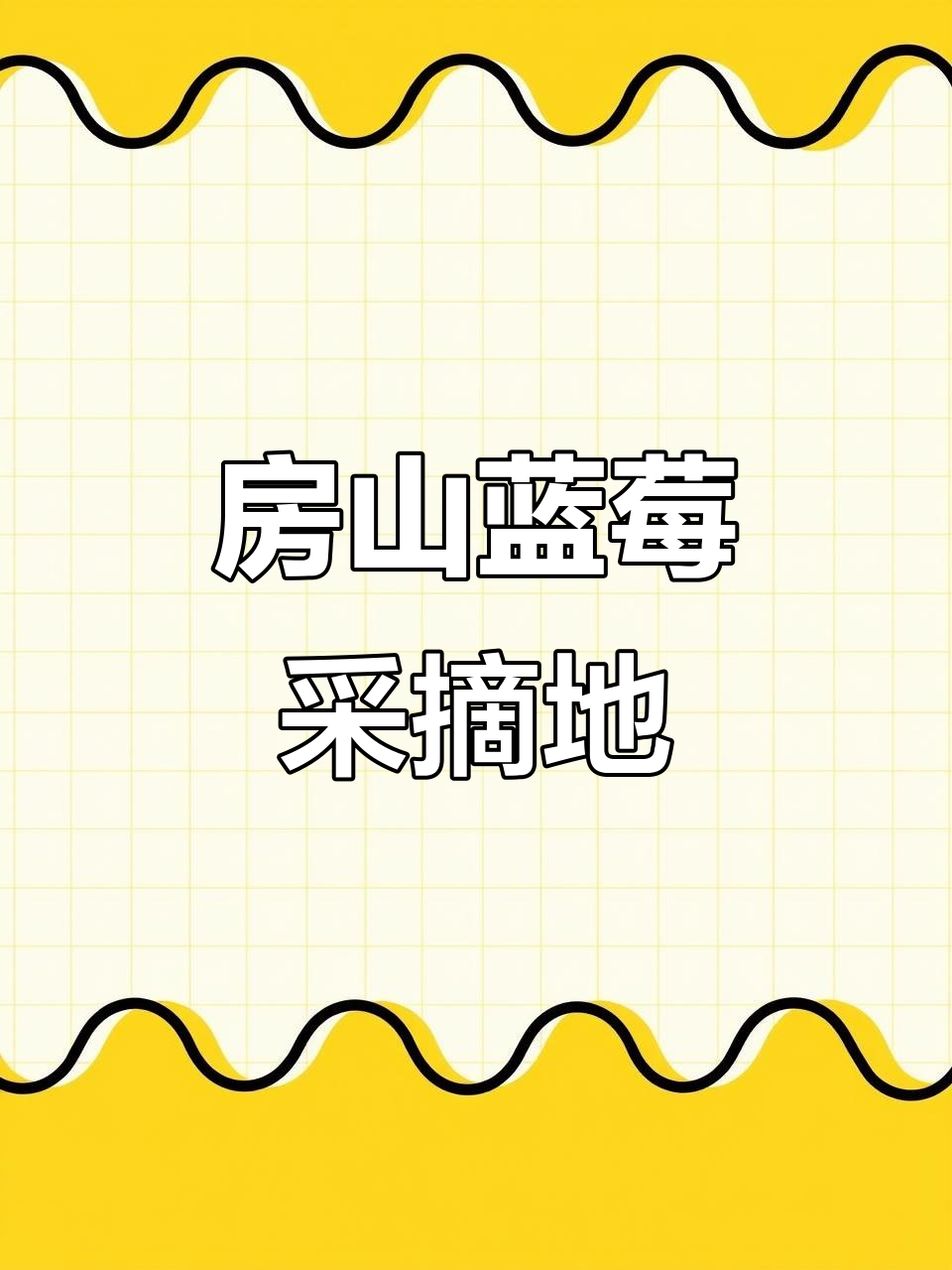 房山启明蓝莓园,采摘新鲜酸甜大果