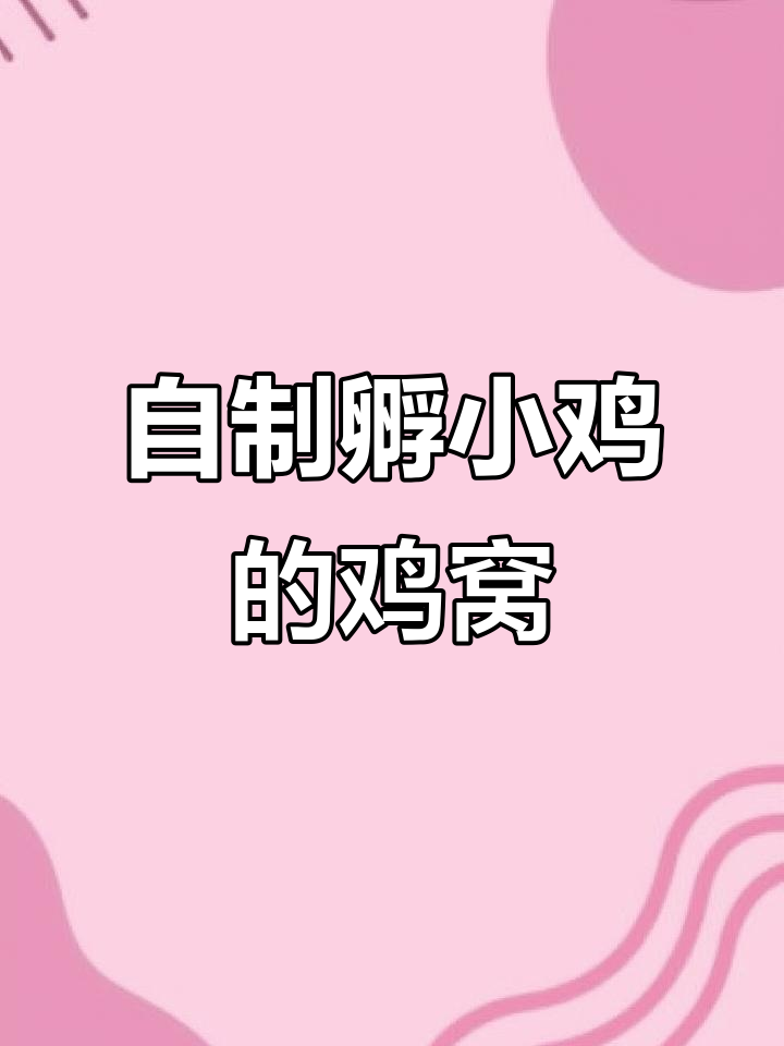散养土鸡孵化技巧大揭秘,如何打造温馨舒适的鸡窝