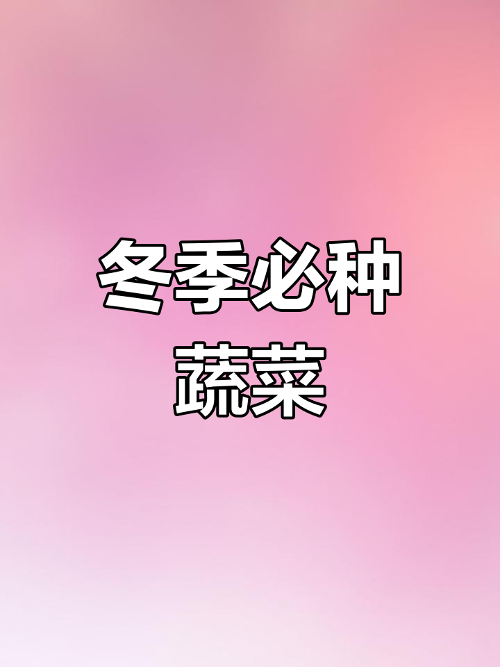 寒冬必备紫罗兰油菜,20天收获,火锅清炒皆宜