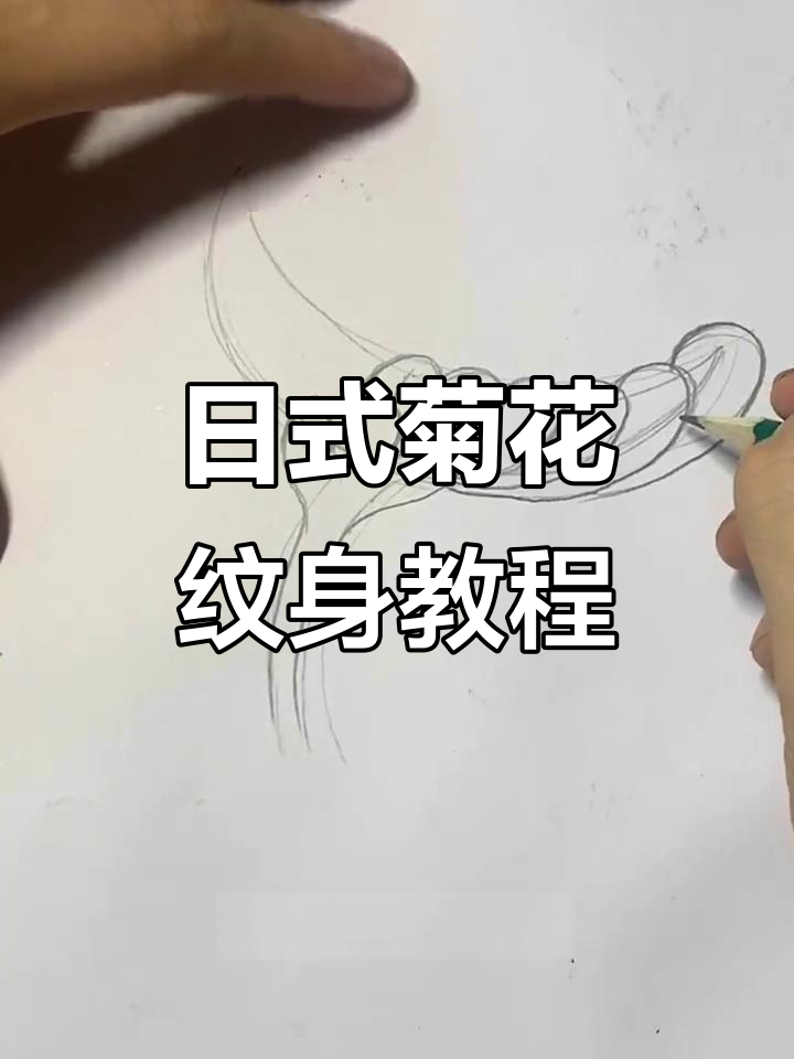 轻松掌握日式老传统菊花纹身技巧,完美复刻经典图案