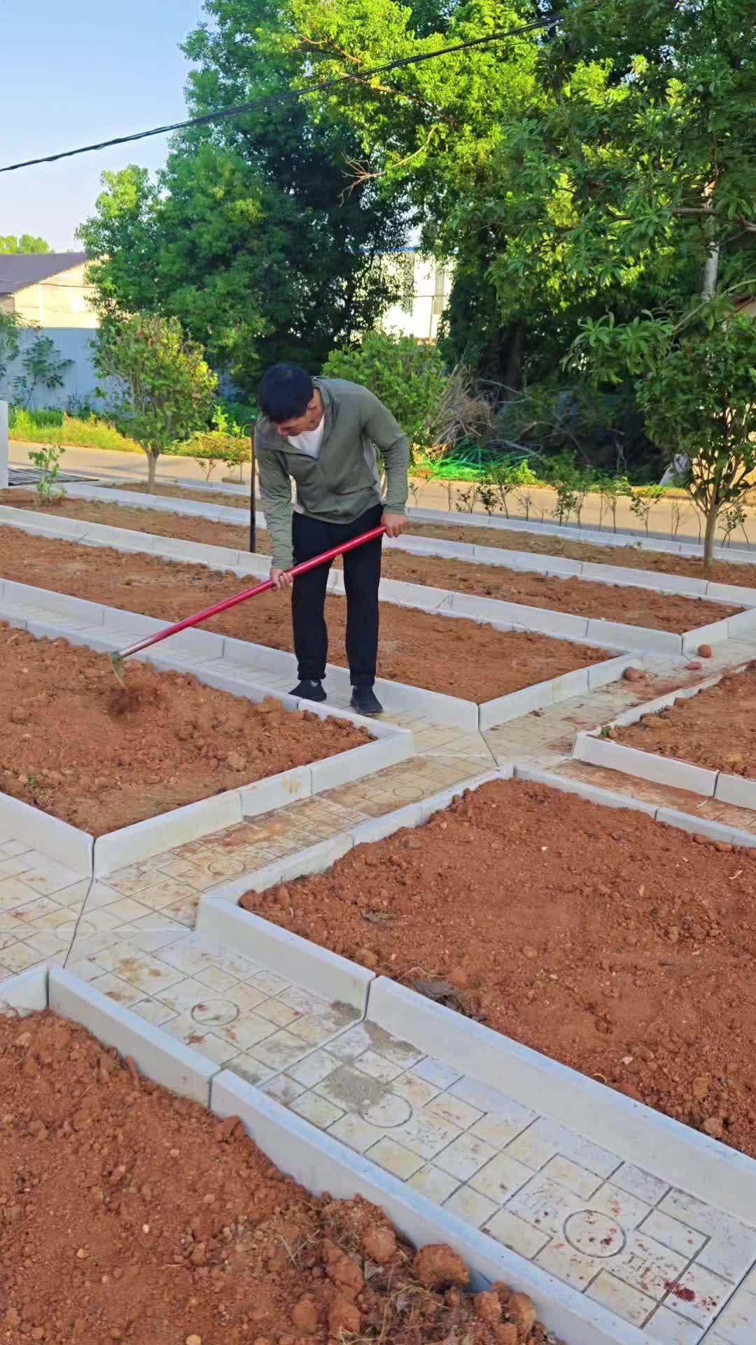 菜沟板改造,给老家改造小菜园 小院改造 菜园 在家种菜 农村菜园设计 院子里菜园设计