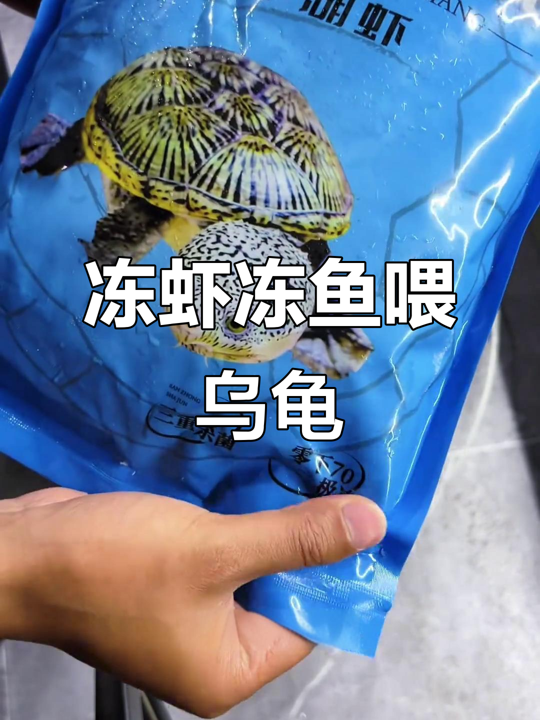 冰冻小虾虎鱼，龟粮新选择！