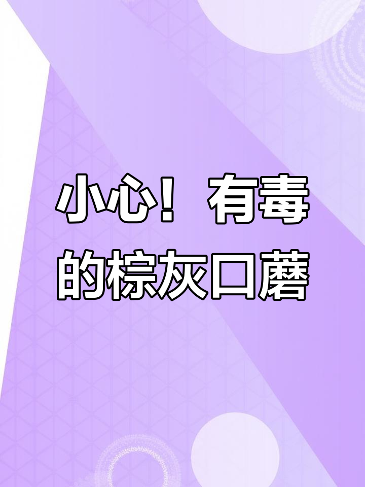 棕灰口蘑:松林中的毒蘑菇,小心食用