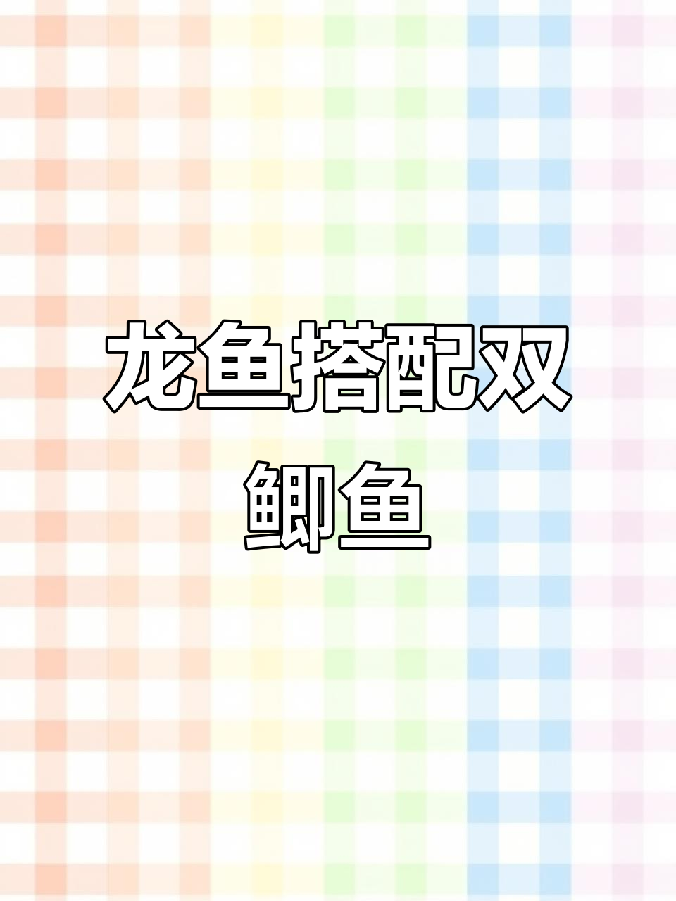 龙鱼配什么鱼最合适？双鲫鱼的优点大揭秘