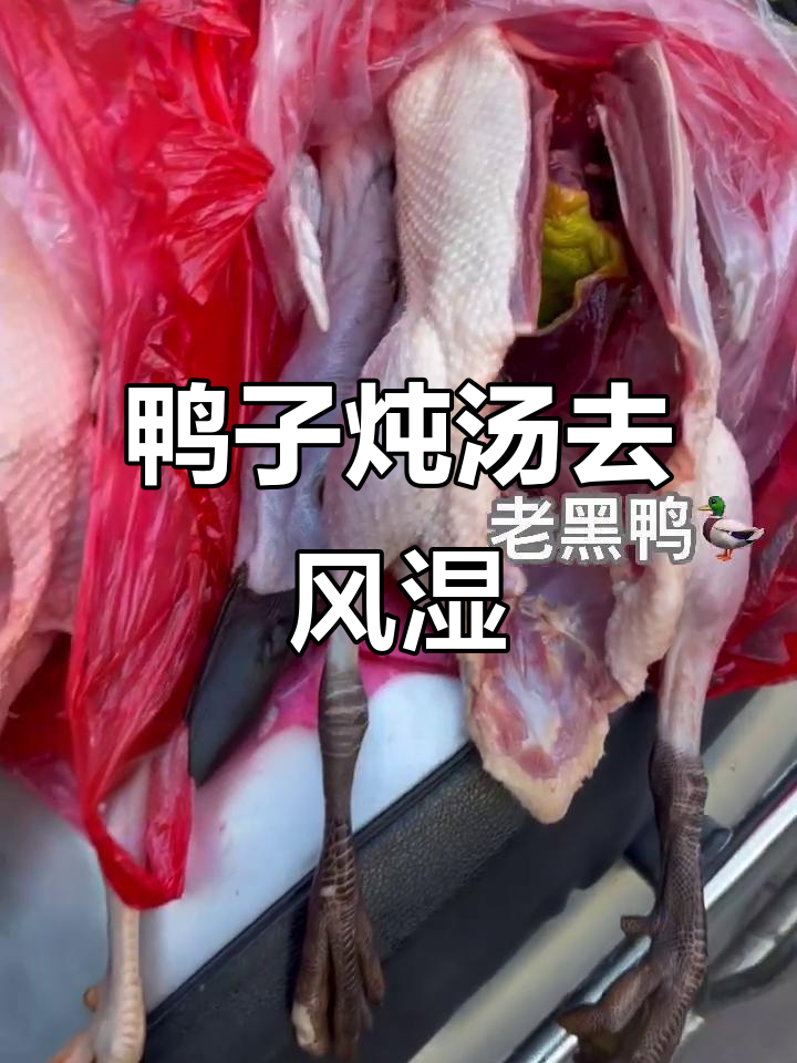 老鸭公炖汤祛湿,黑鸭清热止咳效果佳