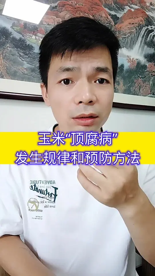 来学农技，轻松应对玉米顶腐病