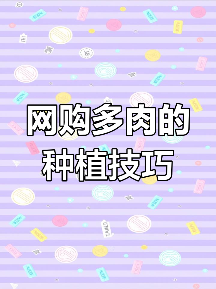 多肉植物栽种全攻略,轻松掌握正确方法
