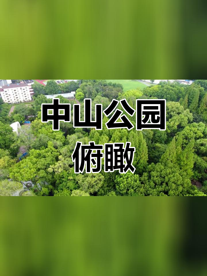 夏日上海中山公园航拍全景