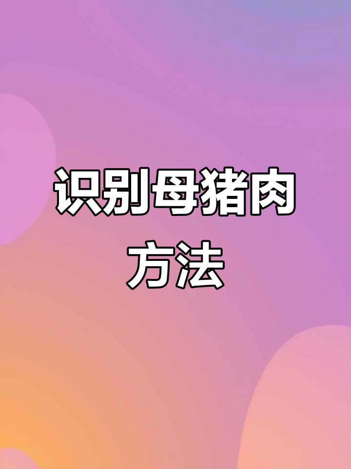 如何辨别母猪肉?了解其特征与挑选技巧