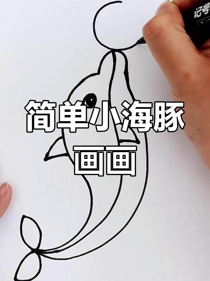 小海豚简笔画教程,轻松学会画可爱小动物