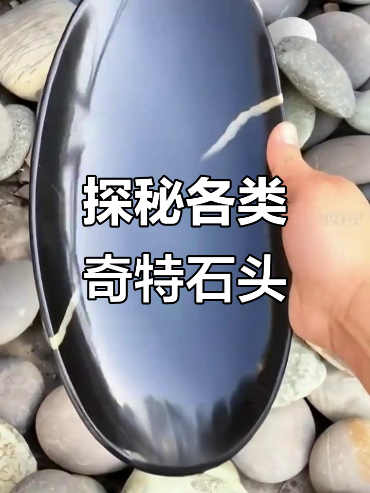 各种奇石大揭秘,蒙脱石、粪便化石到东坡肉石的奇妙之旅