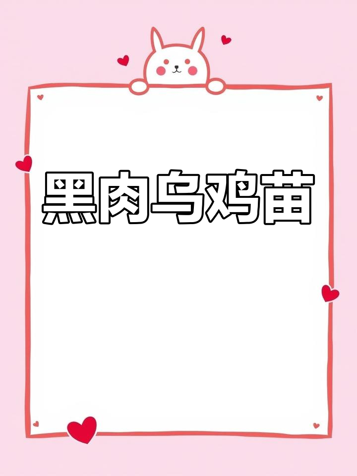 快大妈乌鸡苗,黑肉黑脚,30只发货