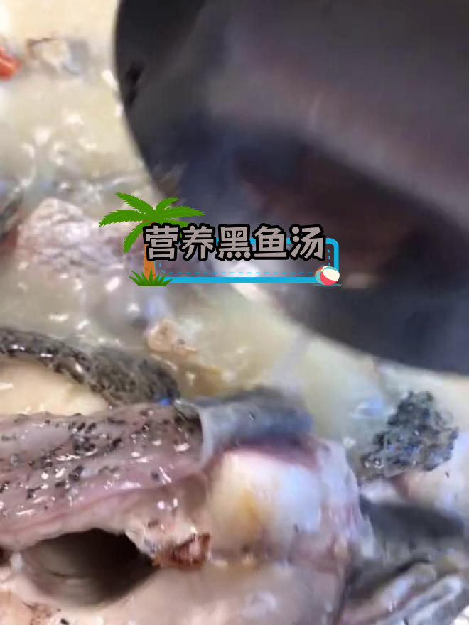 黑鱼汤助力术后恢复,滋补又美味