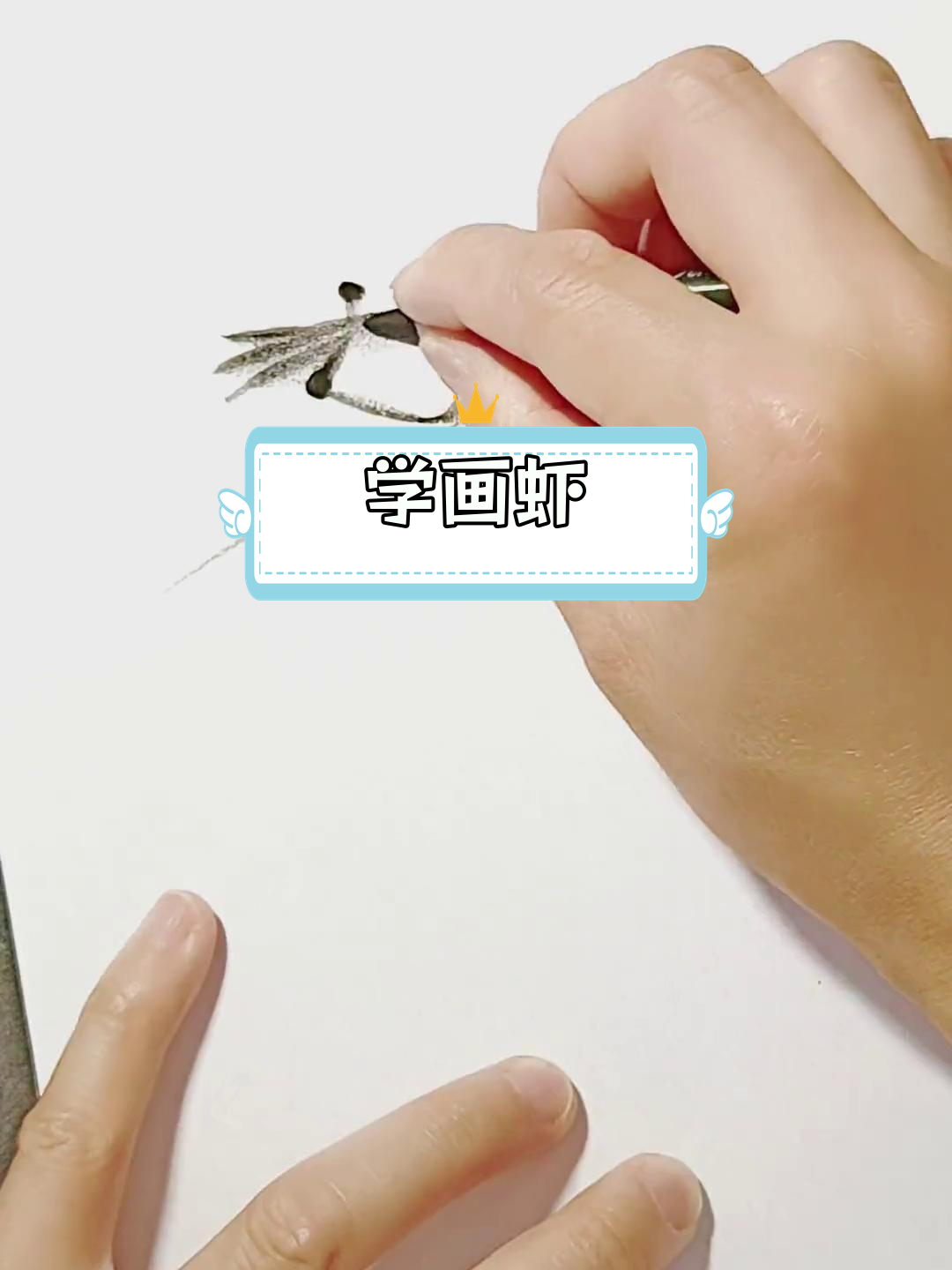 画虾的简单步骤,轻松掌握