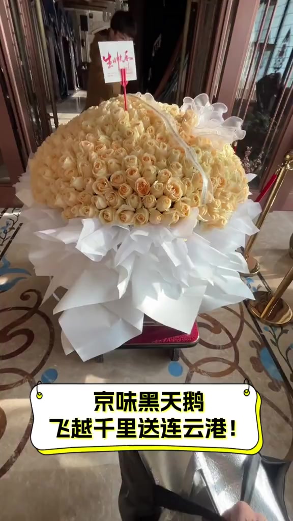 京味黑天鹅,飞越千里送连云港!