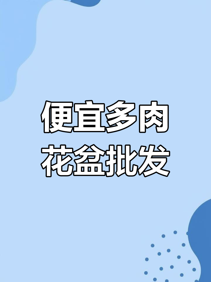 多肉花盆批发,价格实惠,3.5-8元任你选