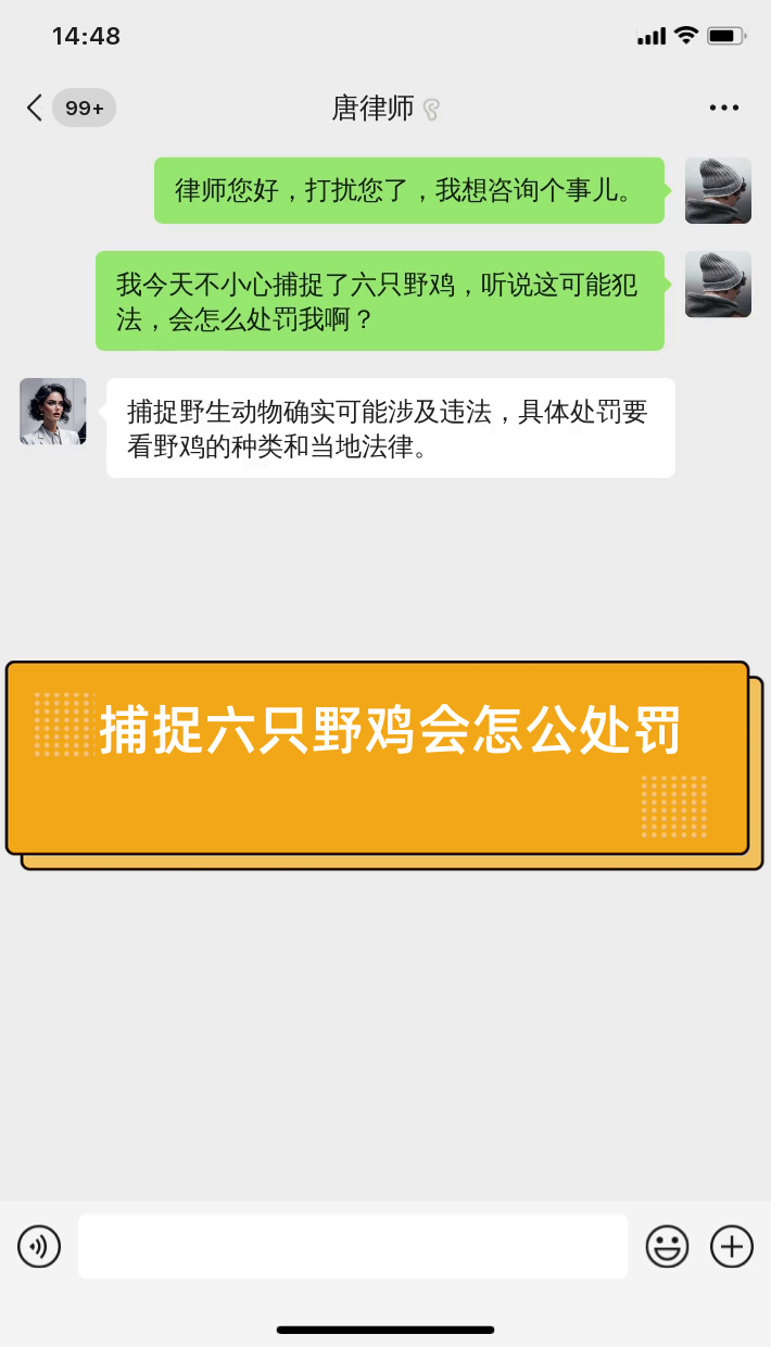 捕捉六只野鸡会怎公处罚