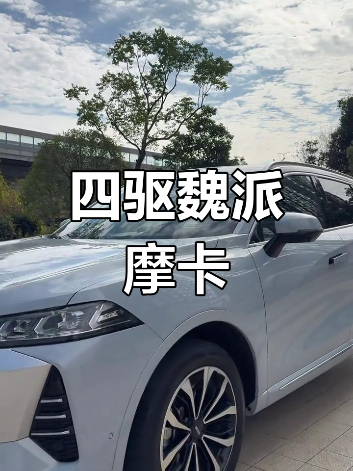 21款魏派摩卡四驱版,冰翠银外观+超高配置