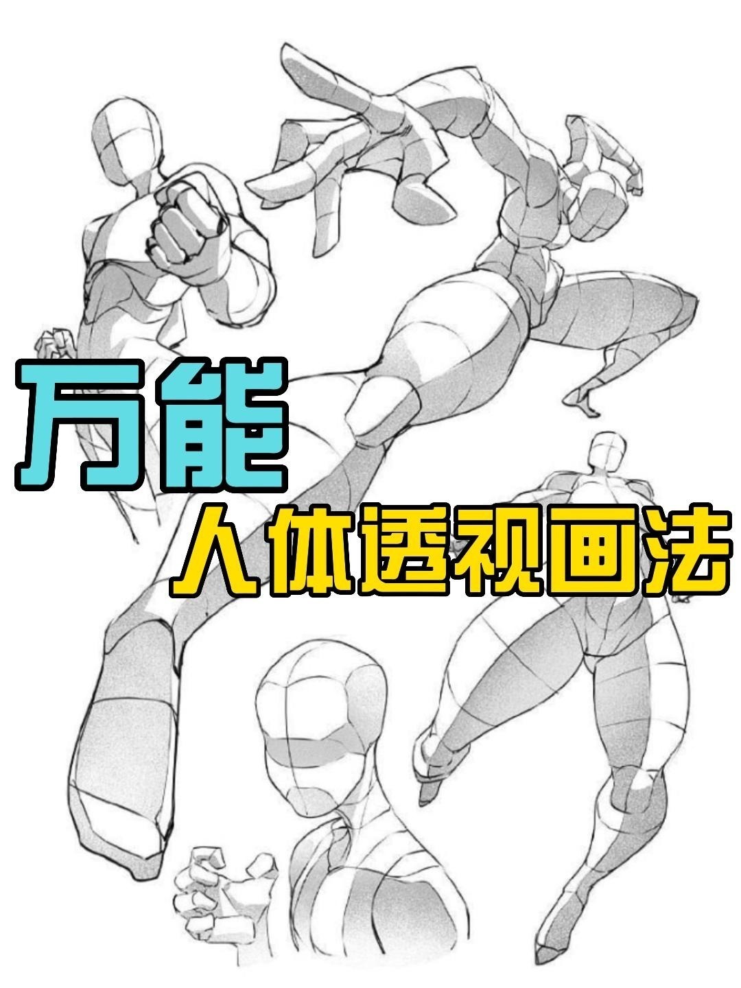 人体透视怎么画?万能教程来了,教你轻松学会