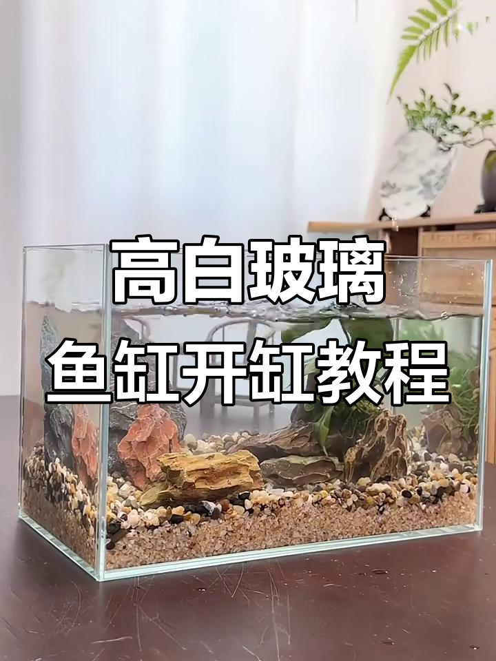 轻松打造高白玻璃鱼缸,步骤全解析