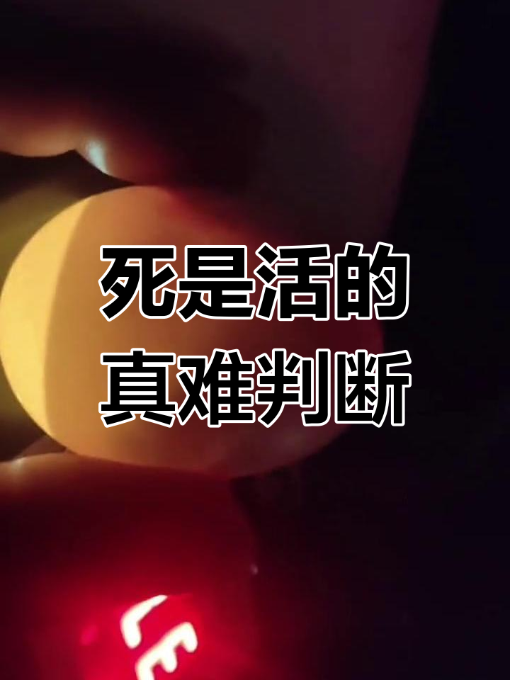 鸡蛋孵化过程:死胎还是活蛋?