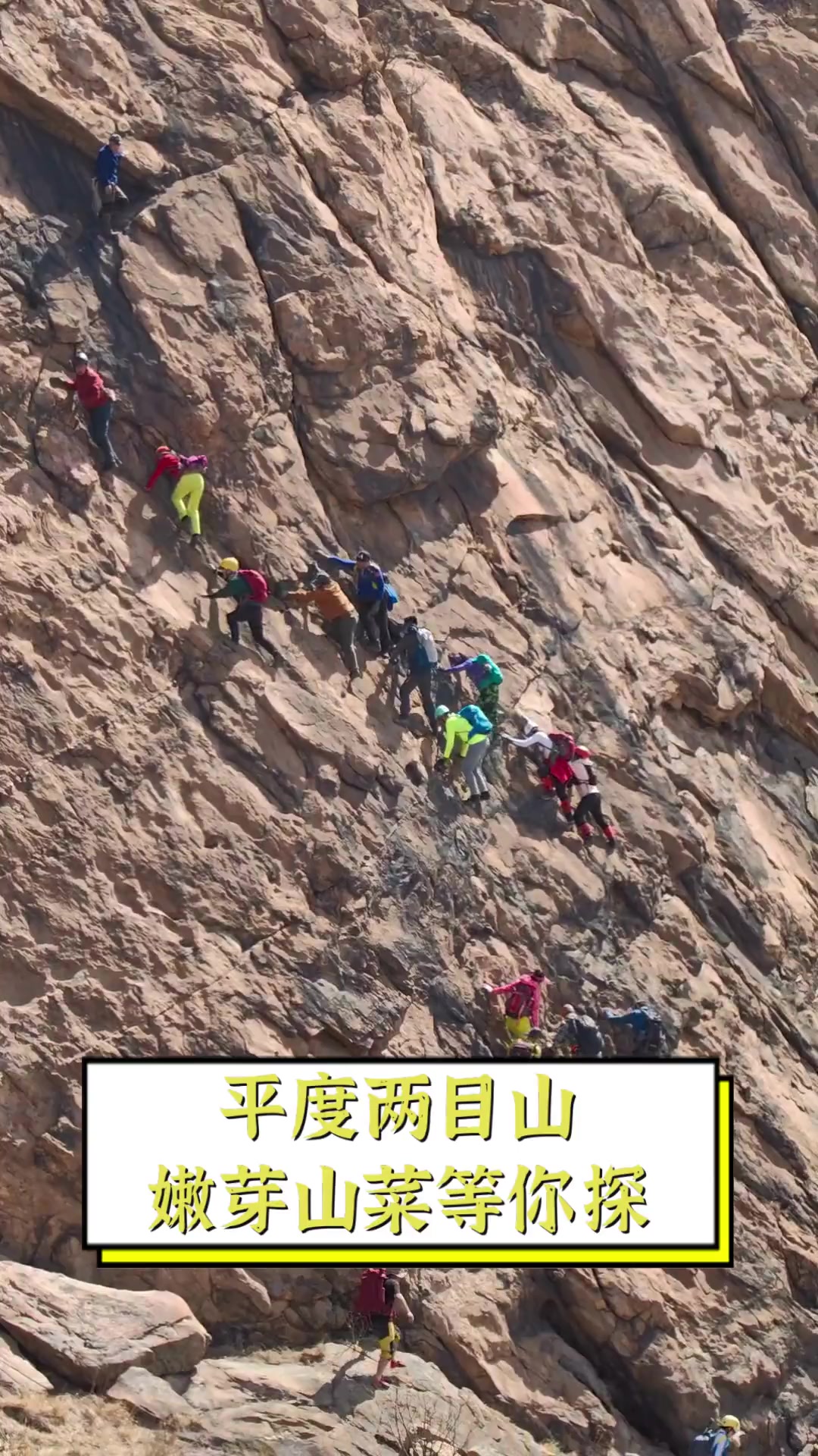 平度两目山,嫩芽山菜等你探