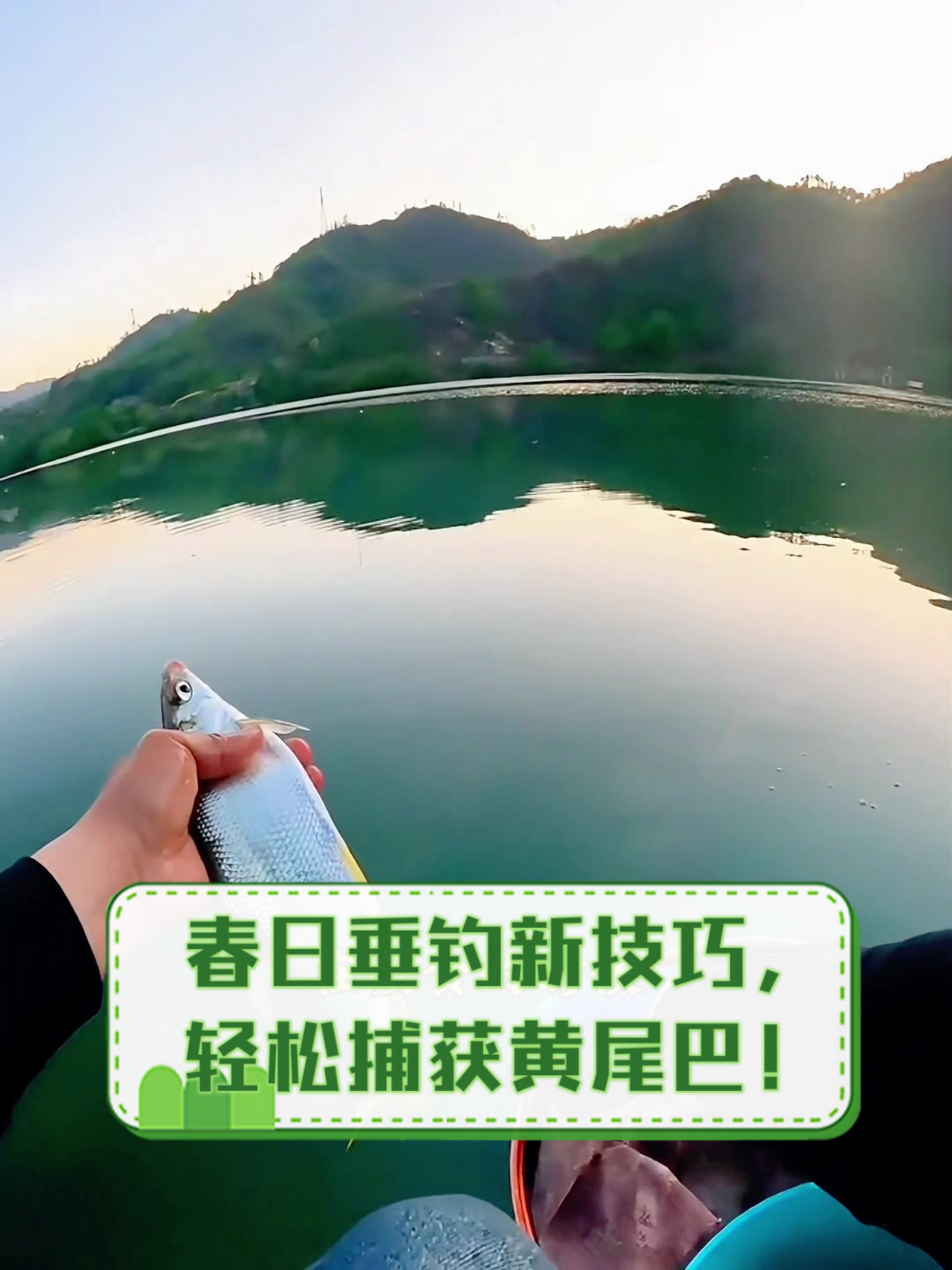 春日垂钓新技巧,轻松捕获黄尾巴!
