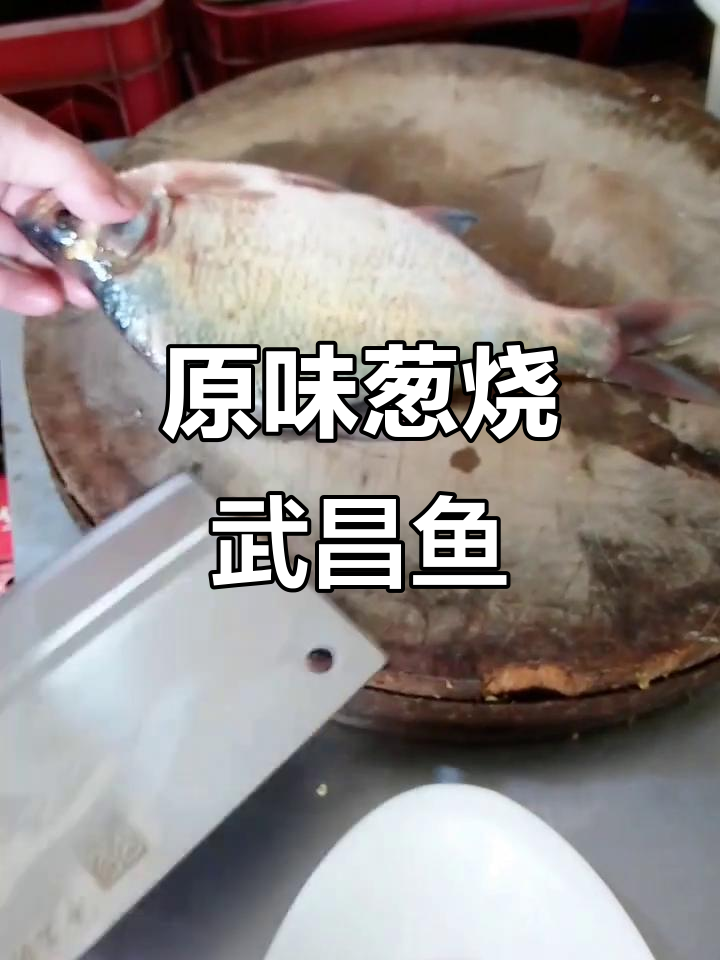 武昌鱼葱烧,原汁鲜美,无需姜蒜,鱼肉嫩滑无腥