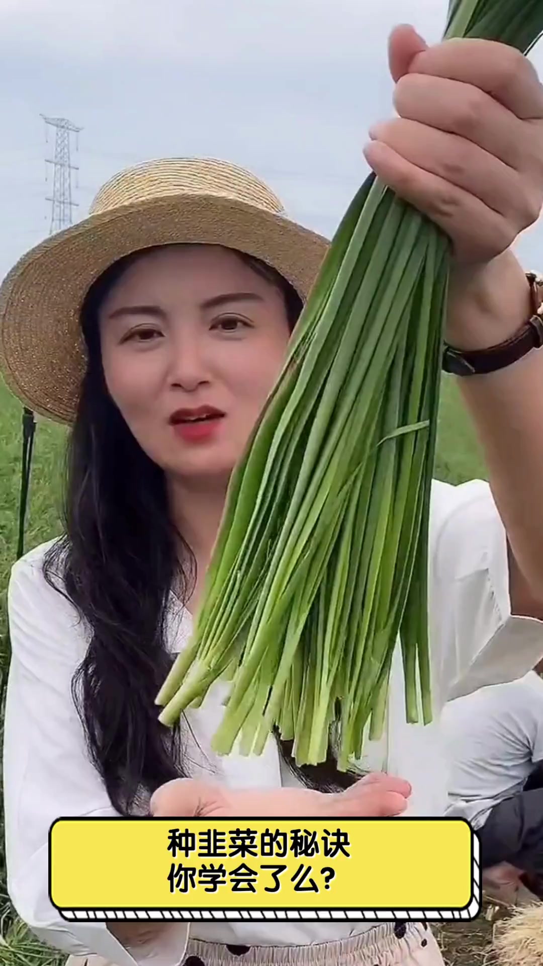 种韭菜的秘诀,你学会了么?
