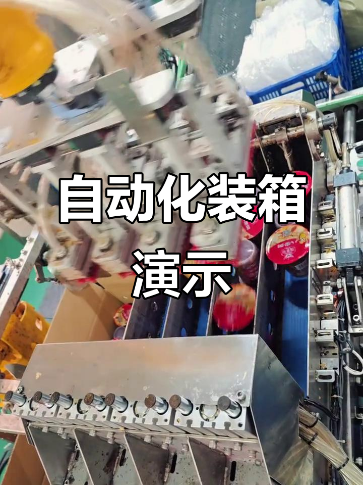 自动装箱机助力冰杯与绿豆沙高效包装,工厂实拍展示