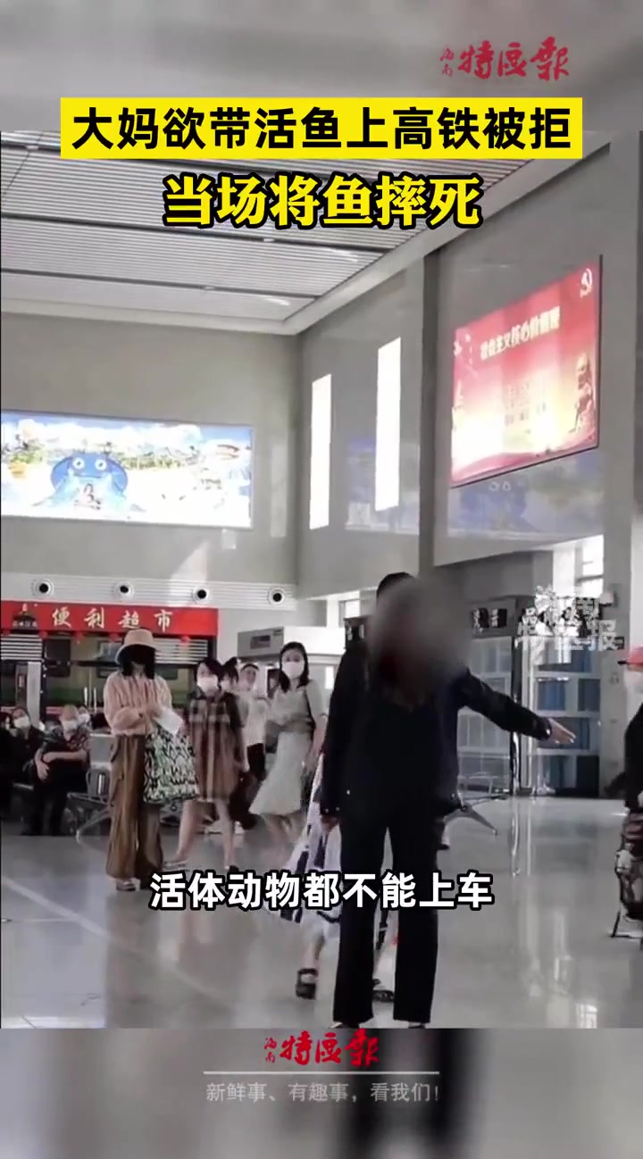 大妈欲带活鱼上高铁被拒!铁路客服:除了导盲犬,其他活体动物都不可以带上高铁
