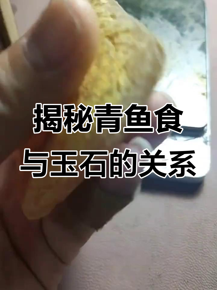 青鱼食的秘密:如何从咽喉部提取活玉青鱼石