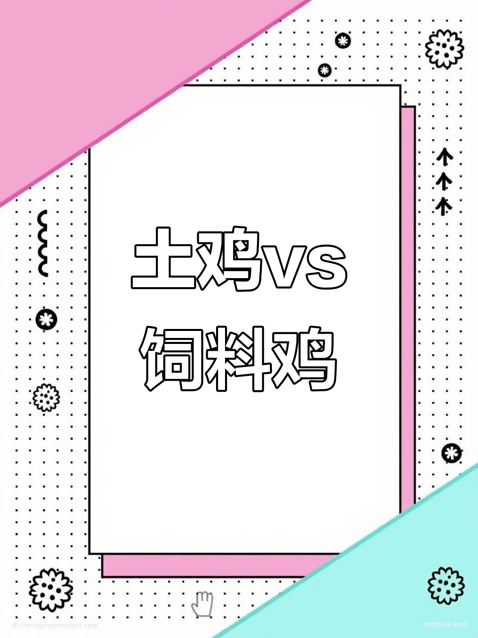 土鸡与饲料鸡的区别:外观、口感和营养全方位对比
