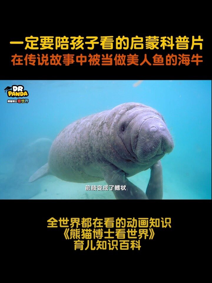 启蒙科普|大海里的美人鱼竟然长这样