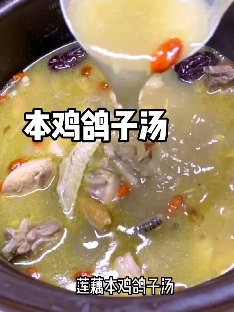 冬季大补汤本鸡鸽子汤