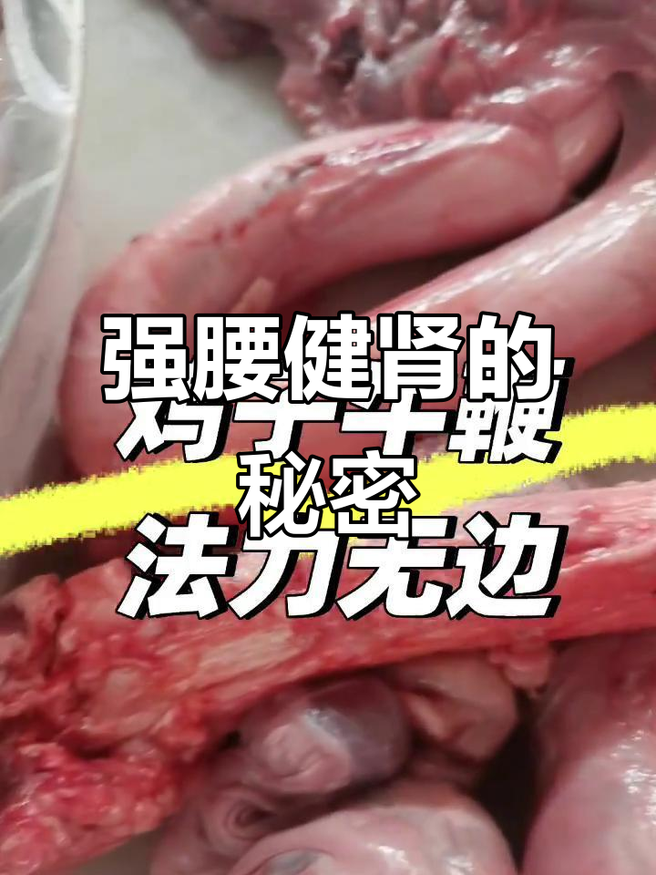 鸡子牛鞭壮阳秘方,补腰强肾效果显著